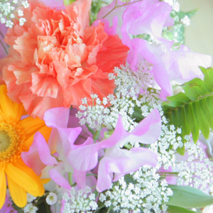 清明 花々が咲き乱れる季節。桜の下で美味しいお茶を飲みましょう!